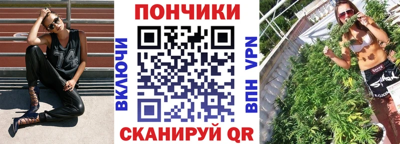 купить закладку  МЕГА зеркало  Шишки марихуана гибрид  Курильск 